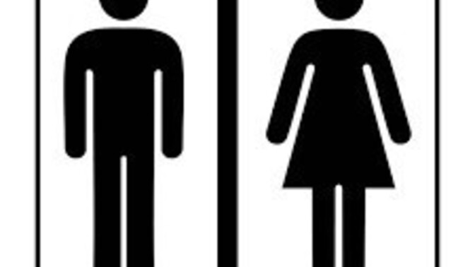 How old were you when you figured out which public bathroom to use?