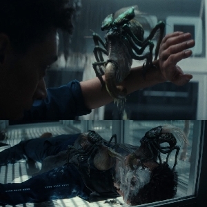 If all of the aliens on Alien Earth fought each other, who would come out victorious?