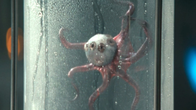 If all of the aliens on Alien Earth fought each other, who would come out victorious?
