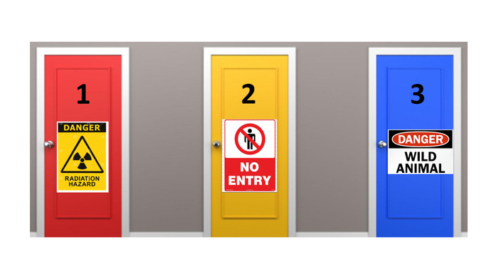 Which DOOR would you CHOOSE?