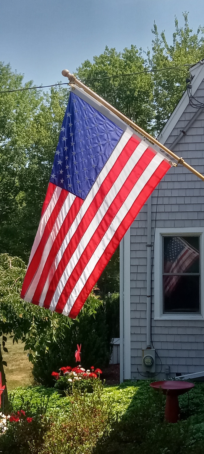 What's wrong with flying your country's flag?