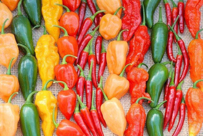 What kind of food is too hot for you to eat?