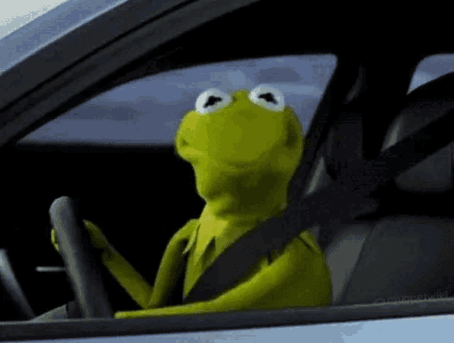 How would YOU feel if Kermit the Frog shook his head in disappointment at you?
