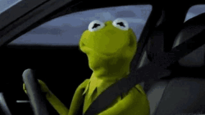 How would YOU feel if Kermit the Frog shook his head in disappointment at you?