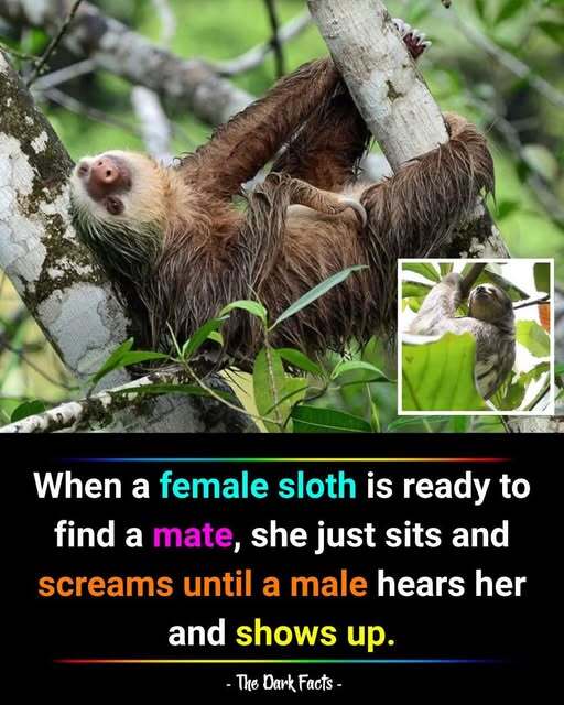 Do guys like to be chased by girls?