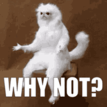If Cinderellas shoe was a perfect fit, why did it fall off?