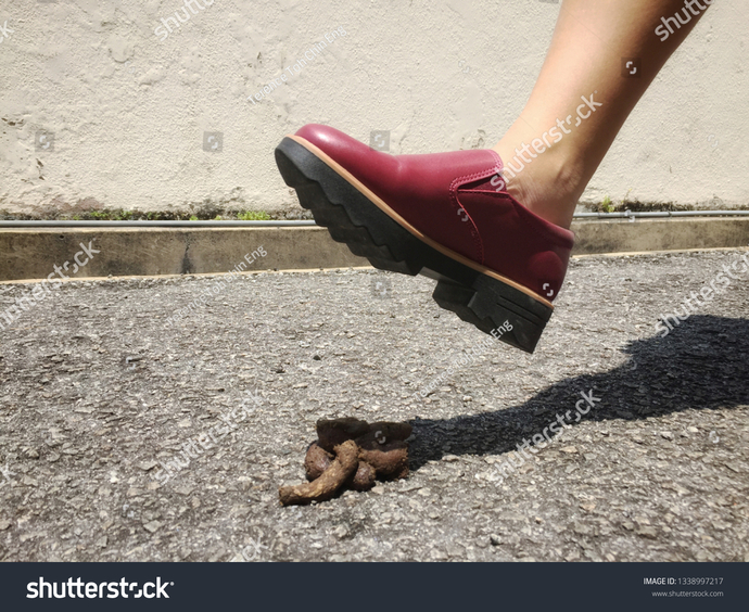 Just a Hypothetical Question, Can anyone answer it?