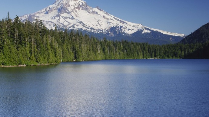 Which of these states would you prefer to reside in ?