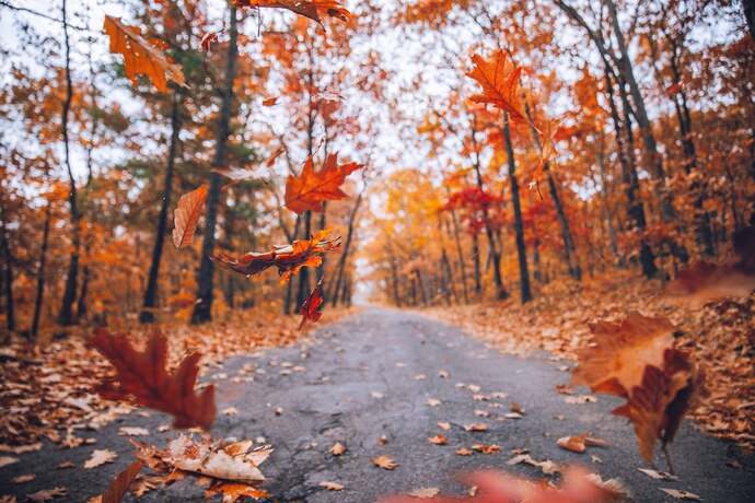 What is your favorite thing about Autumn?