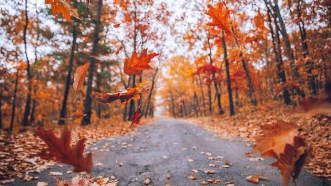 What is your favorite thing about Autumn?
