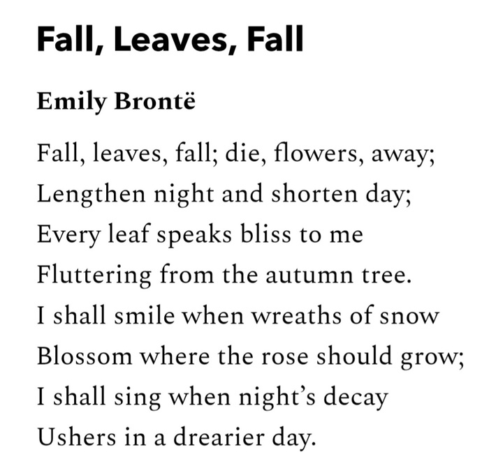 Can you share a poem, lyrics or a short text about the new season that just started, autumn?