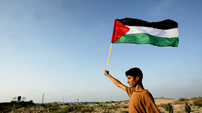 What do you think about the War in Palestine?
