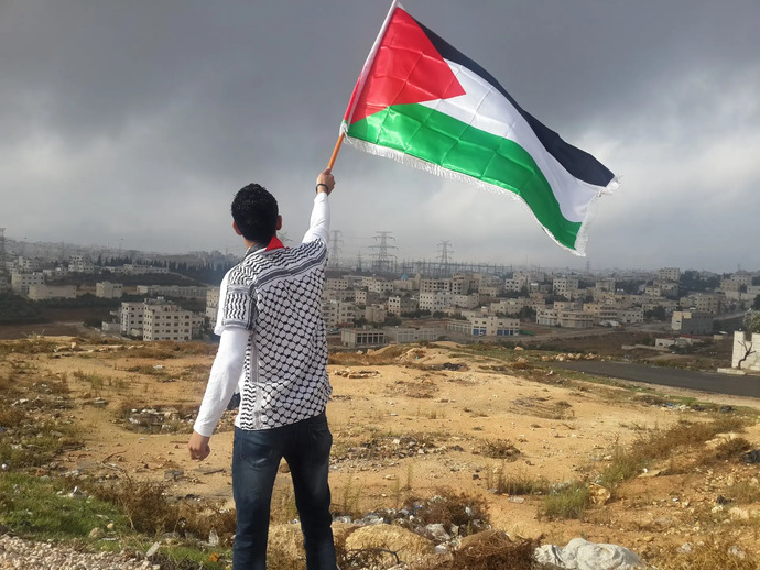 What do you think about the War in Palestine?