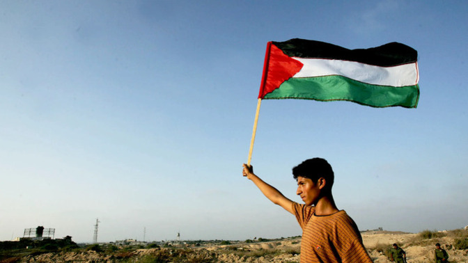 What do you think about the War in Palestine?