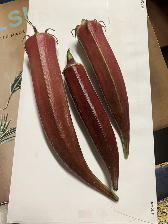 Beautiful red okra. Same taste, prettier outside.