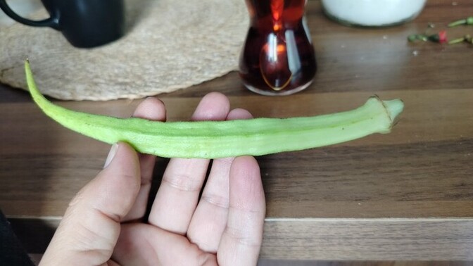 Would you like to eat my okra?