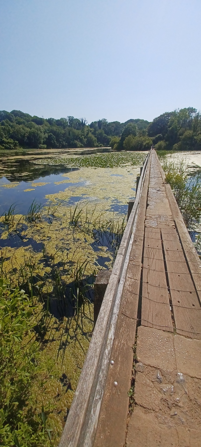 Are You Adventurous?