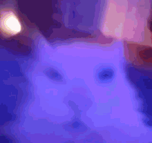 Has shaky camera become a device for the lowest budget, most boring action ever recorded on film?
