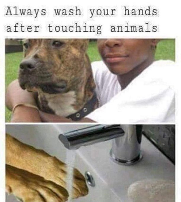 Why can't I stop shoplifting?