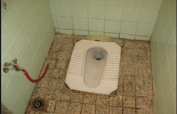 Would you use an Iraqi bathroom, its a hole and you have to squat in it?