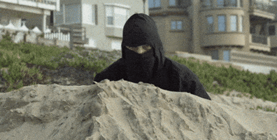 If you learned that your partner was secretly a Ninja but never told you how would you react?