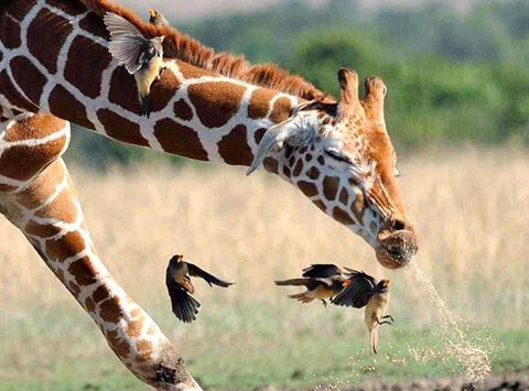 Do you say bless you when someone sneezes?