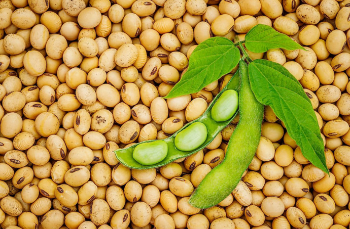 Didnt Trump supporting soybean farmers know that his tariffs would drive China to purchase from other countries and hurt them?