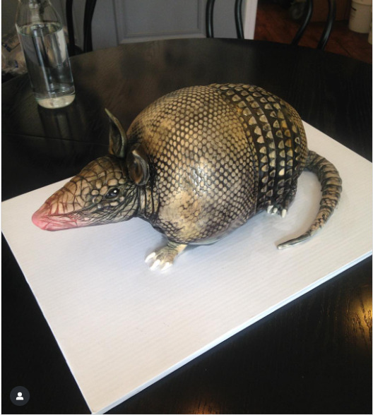 Yes, it was a cake, but no one wanted to eat an Armadillo, so it was a flub. 😯😅😂