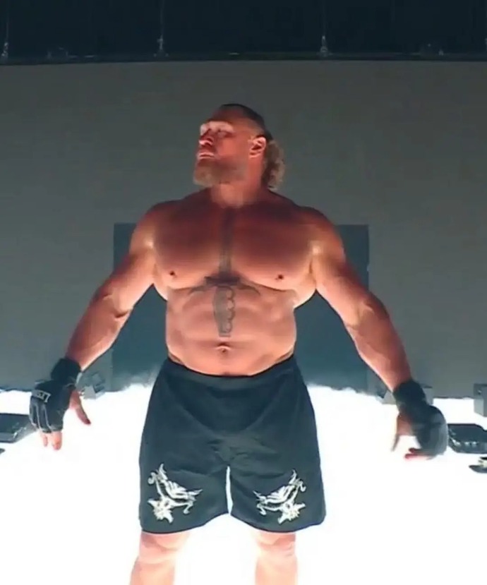 What do you think of Brock Lesnars massive physique at 48 years old?