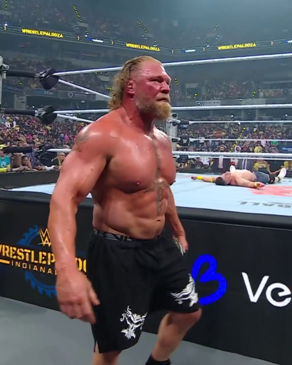 What did you think of Brock Lesnar and John Cenas match at WWE WrestlePalooza?