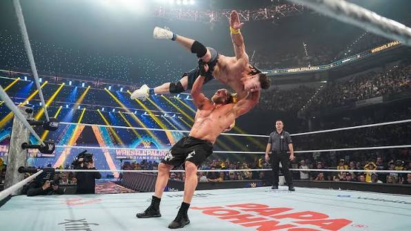 What did you think of Brock Lesnar and John Cenas match at WWE WrestlePalooza?