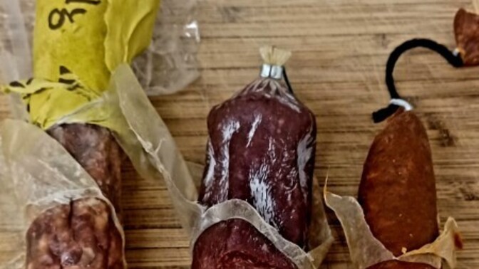 Do you like hard raw sausage?