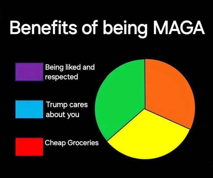 President Trump was awarded $24.5M from You Tube for removing his account. What happens next?