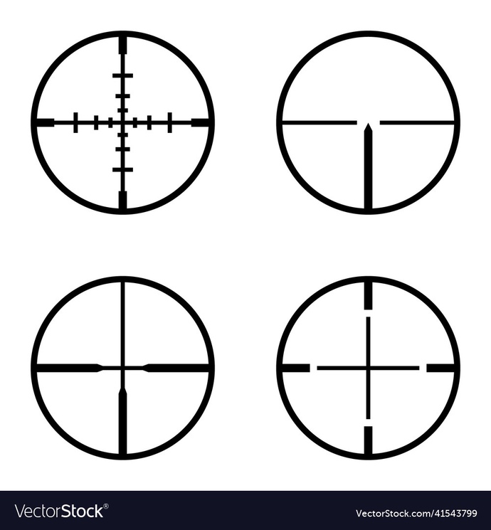 Remember when President Joe Biden said, “It’s time to put Trump in a bullseye!”?