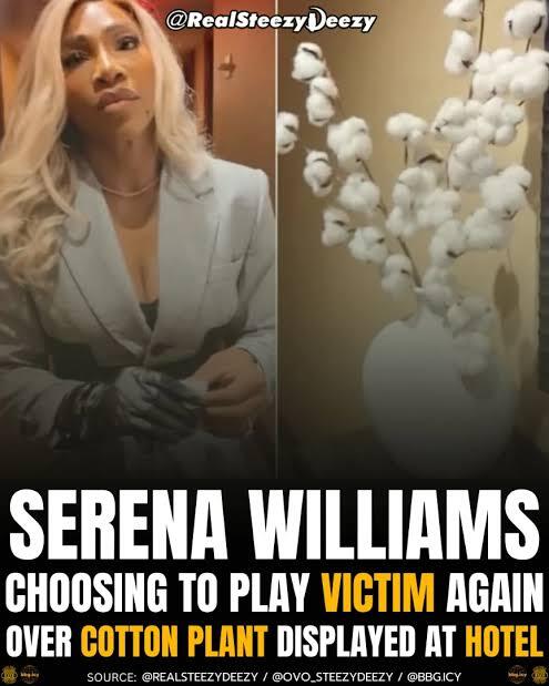 Serena Williams triggered by cotton plant display in NYC Hotel. Will her victim hood get worse as she ages?