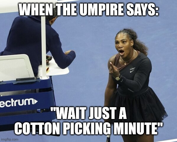 Serena Williams triggered by cotton plant display in NYC Hotel. Will her victim hood get worse as she ages?