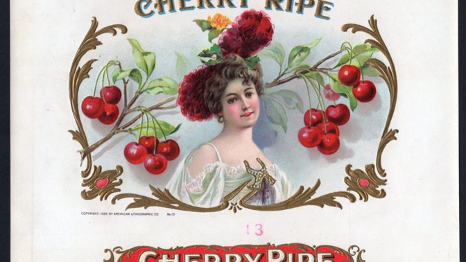 How do you know if a cherry is ripe for picking?