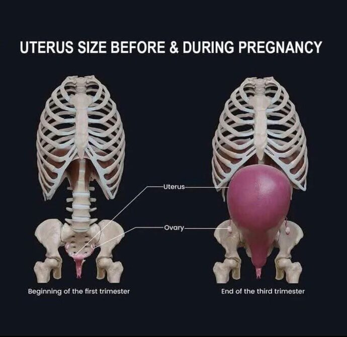 Girls, how does this image about pregnancy make you feel?