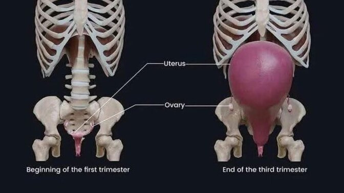 Girls, how does this image about pregnancy make you feel?