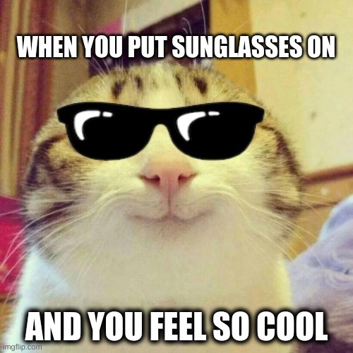 Do you think you look ‘cool’ when you wear sunglasses?