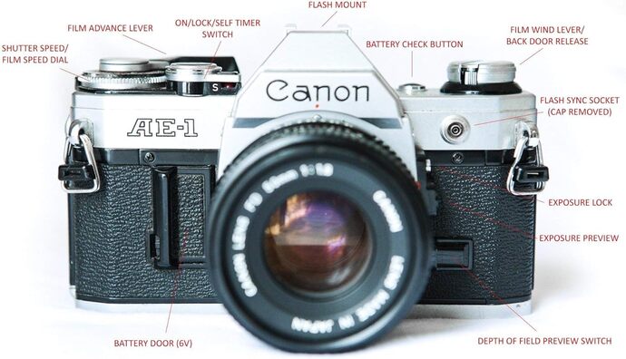 Do you like taking pictures?