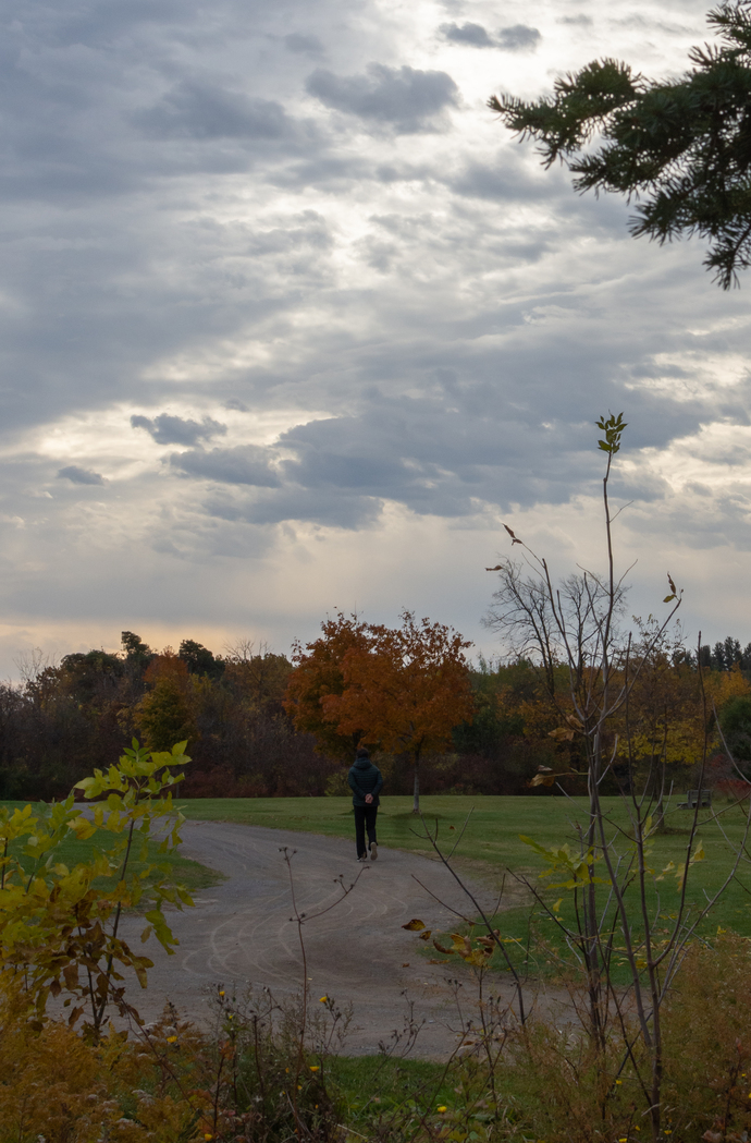 A stranger out for a morning walk 