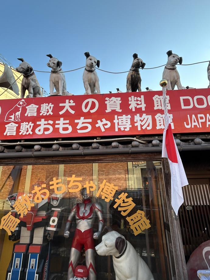 Dog Museum 