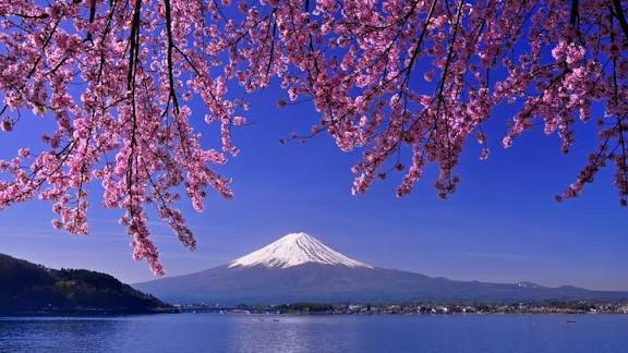 What are your impressions of Japan as a country?