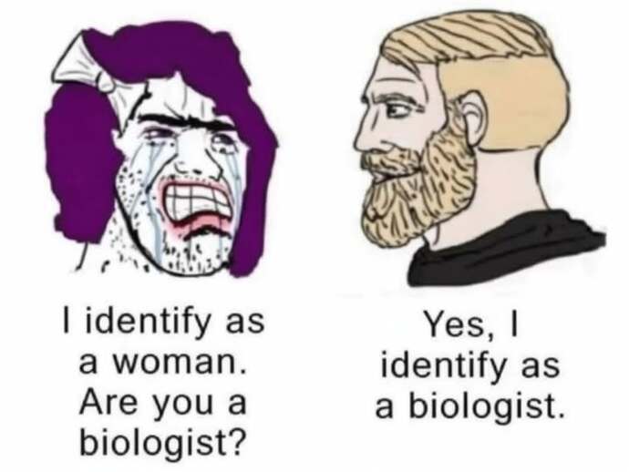 Are trans women real women?