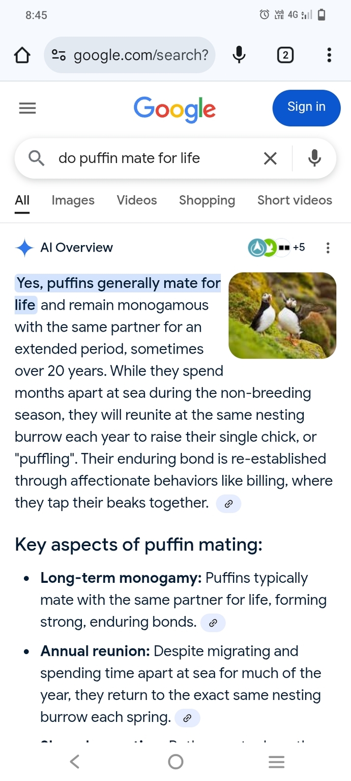 Do you find it fascinating the Puffin (a hybrid looking penguin, toucan, mime face of a bird) mates for life?