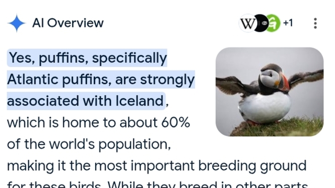 Do you find it fascinating the Puffin (a hybrid looking penguin, toucan, mime face of a bird) mates for life?