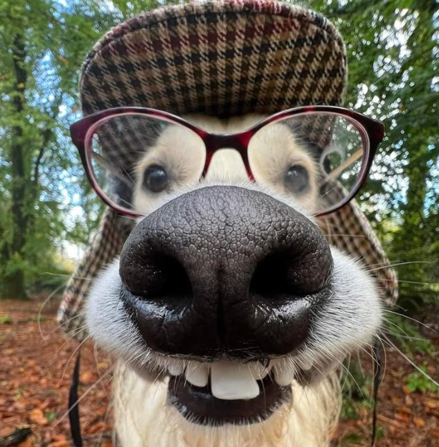 In A World Where You Can Be Anything, Be KIND & When It Comes To Sayings What Is A Positive Saying You Like Or Have Heard Recently?