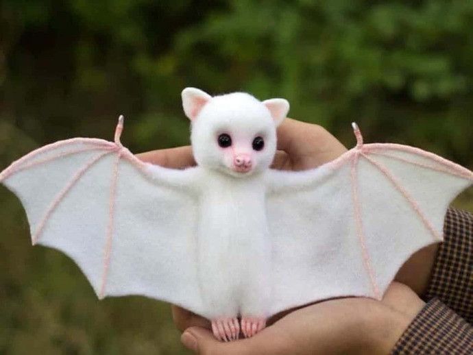 Bats are like adorable lil’ puppies with wings.. agree or disagree?