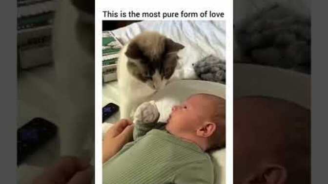 Do you think this is one of the best forms of ❤️ love?
